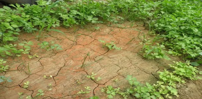 1531452096633545.png QQ截圖20180713111947.png